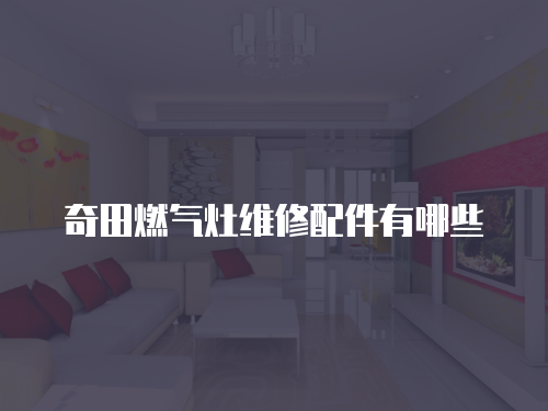 奇田燃?xì)庠罹S修配件有哪些