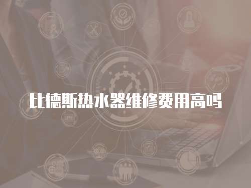 比德斯熱水器維修費(fèi)用高嗎