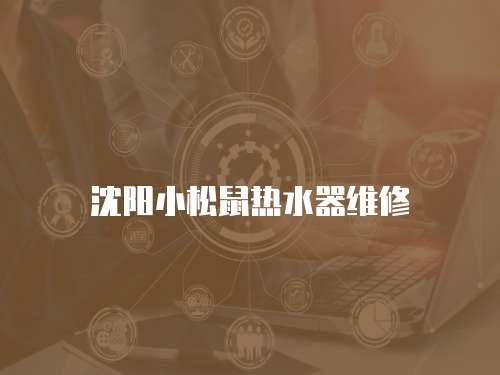 沈陽小松鼠熱水器維修