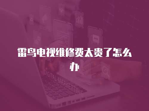 雷鳥電視維修費太貴了怎么辦