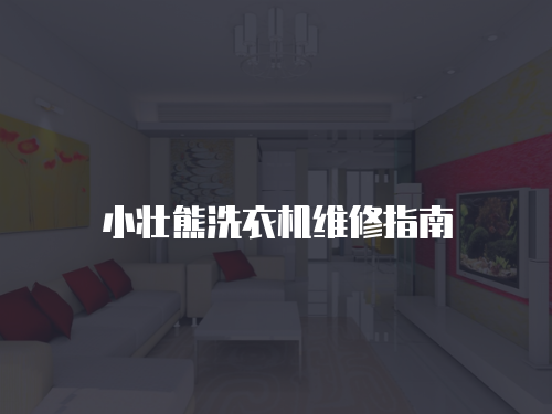 小壯熊洗衣機(jī)維修指南