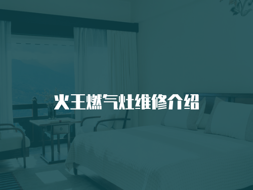 火王燃氣灶維修介紹