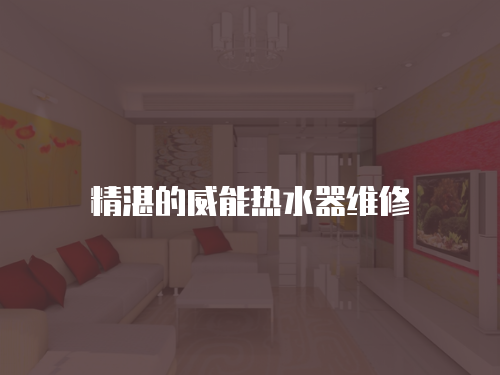 精湛的威能熱水器維修