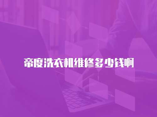 帝度洗衣機(jī)維修多少錢啊