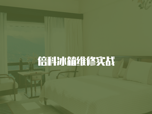 倍科冰箱維修實戰