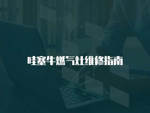 哇塞牛燃氣灶維修指南
