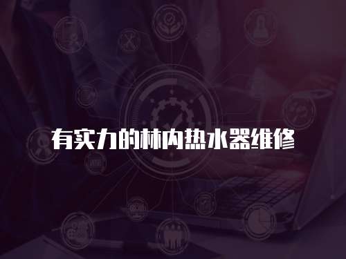 有實力的林內熱水器維修