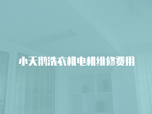 小天鵝洗衣機電機維修費用