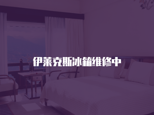伊萊克斯冰箱維修中