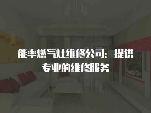 能率燃?xì)庠罹S修公司：提供專業(yè)的維修服務(wù)