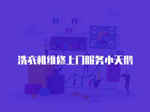 洗衣機維修上門服務小天鵝