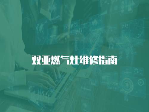 雙亞燃?xì)庠罹S修指南