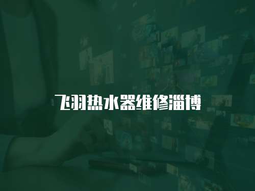 飛羽熱水器維修淄博