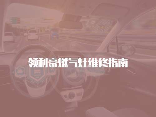領利豪燃氣灶維修指南