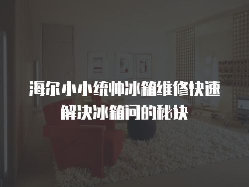 海爾小小統(tǒng)帥冰箱維修快速解決冰箱問(wèn)的秘訣