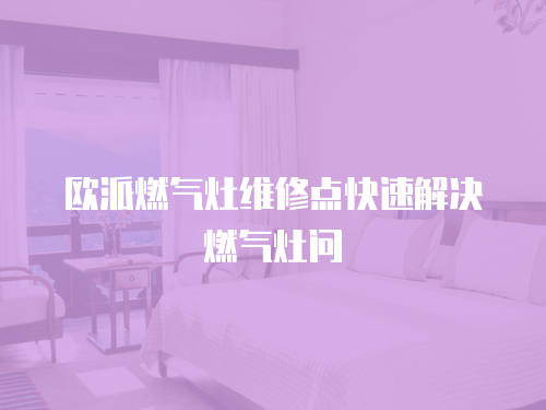 歐派燃?xì)庠罹S修點(diǎn)快速解決燃?xì)庠顔?wèn)