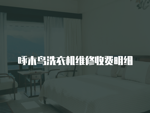 啄木鳥洗衣機維修收費明細