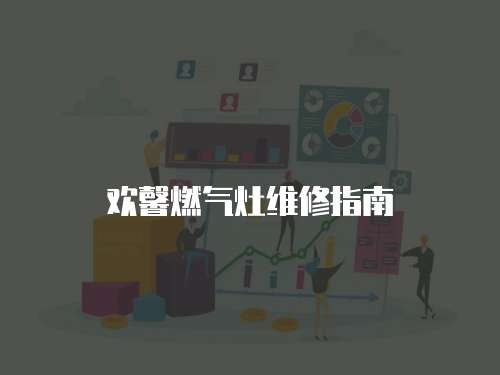 歡馨燃?xì)庠罹S修指南
