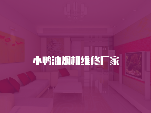 小鴨油煙機維修廠家