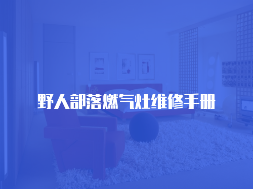 野人部落燃氣灶維修手冊