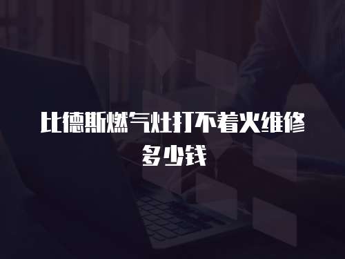 比德斯燃氣灶打不著火維修多少錢
