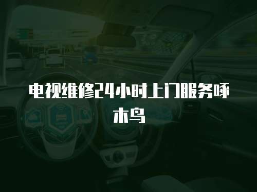 電視維修24小時上門服務啄木鳥
