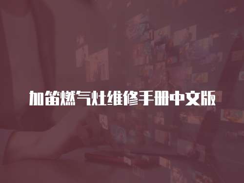 加笛燃氣灶維修手冊中文版
