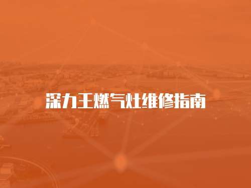 深力王燃?xì)庠罹S修指南