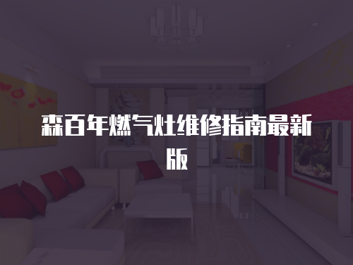 森百年燃?xì)庠罹S修指南最新版