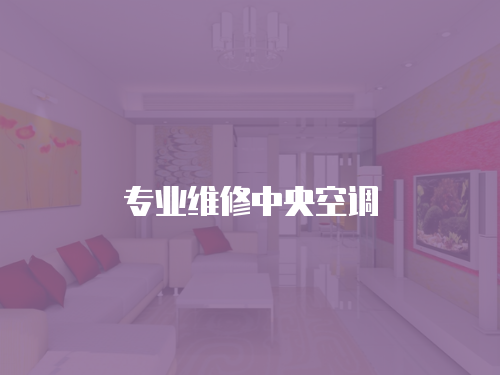 專業維修中央空調