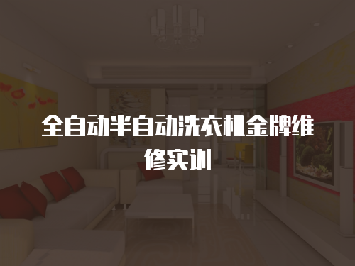全自動半自動洗衣機金牌維修實訓(xùn)