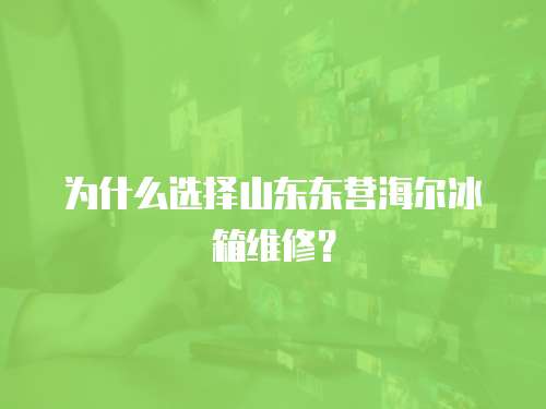 為什么選擇山東東營海爾冰箱維修？