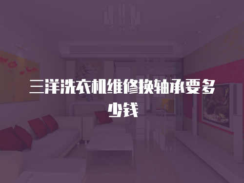 三洋洗衣機維修換軸承要多少錢