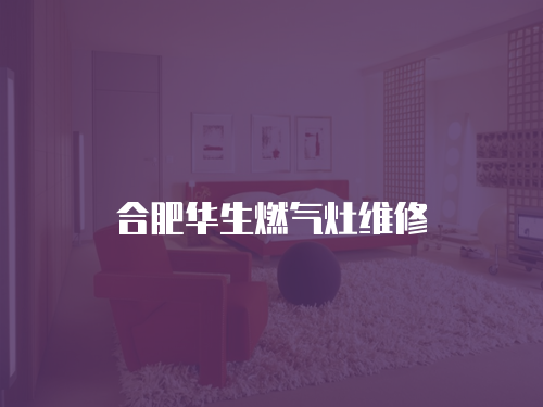 合肥華生燃氣灶維修