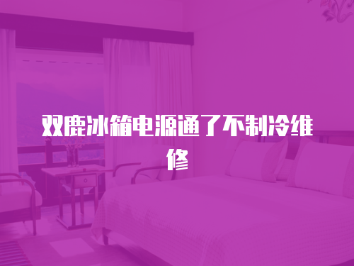 雙鹿冰箱電源通了不制冷維修