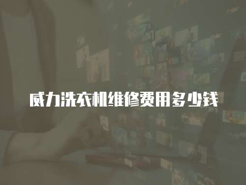 威力洗衣機維修費用多少錢