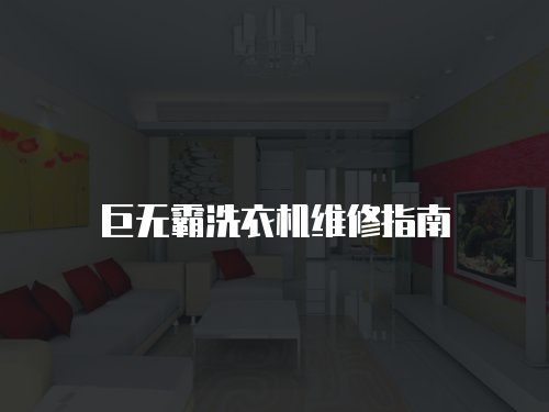 巨無霸洗衣機維修指南