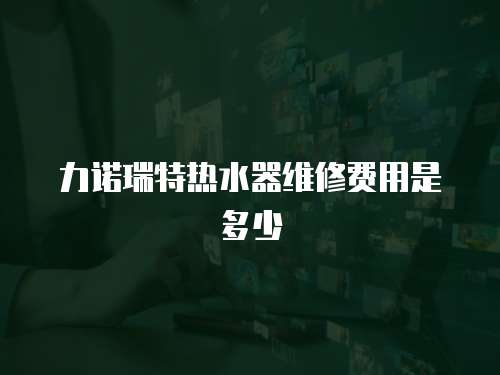 力諾瑞特?zé)崴骶S修費(fèi)用是多少