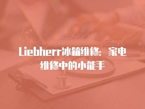 Liebherr冰箱維修：家電維修中的小能手