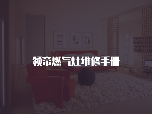 領(lǐng)帝燃?xì)庠罹S修手冊(cè)