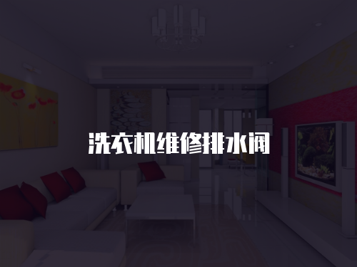 洗衣機維修排水閥