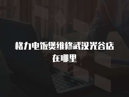 格力電飯煲維修武漢光谷店在哪里