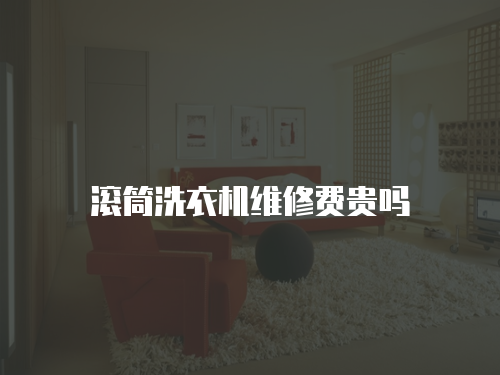 滾筒洗衣機維修費貴嗎