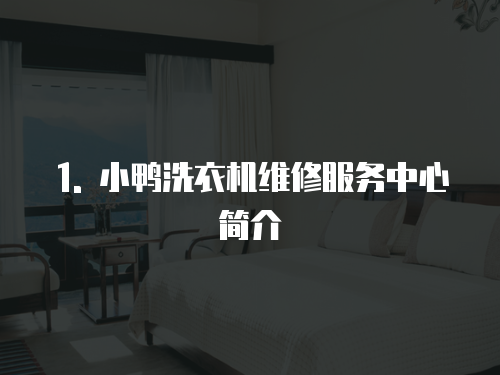 1. 小鴨洗衣機維修服務中心簡介