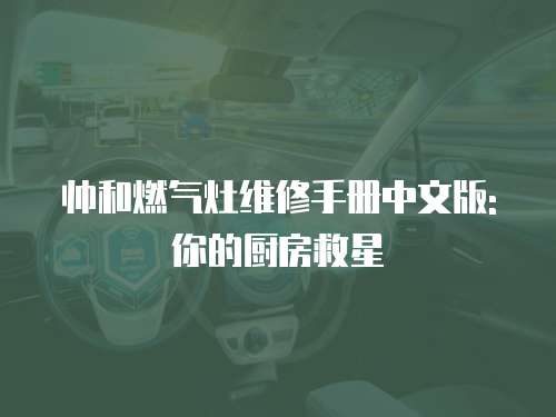 帥和燃?xì)庠罹S修手冊(cè)中文版: 你的廚房救星