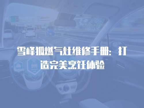 雪峰狐燃氣灶維修手冊：打造完美烹飪體驗
