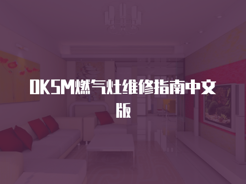 OKSM燃氣灶維修指南中文版