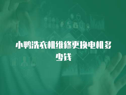 小鴨洗衣機維修更換電機多少錢
