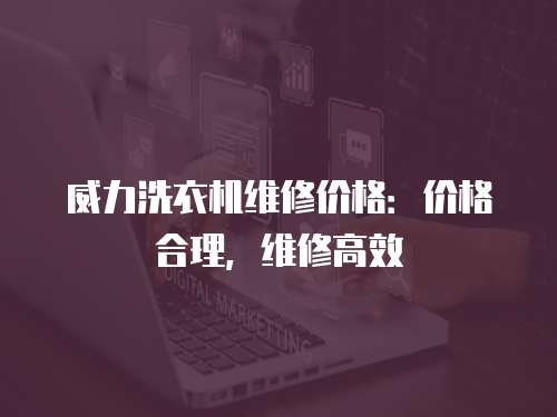 威力洗衣機維修價格：價格合理，維修高效