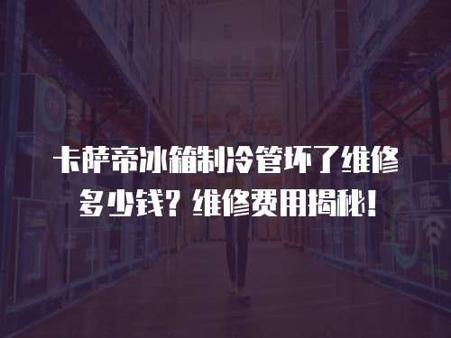 卡薩帝冰箱制冷管壞了維修多少錢？維修費用揭秘！
